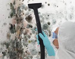 Best Emergency Mold Remediation  in Union Springs, AL